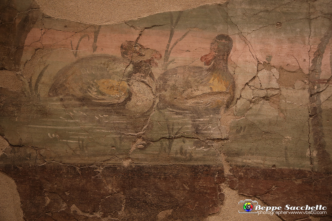 VBS_8957 - Mostra Invito a Pompei.jpg